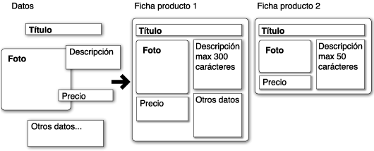 datos y fichas ejemplos de organizacion de la informacion